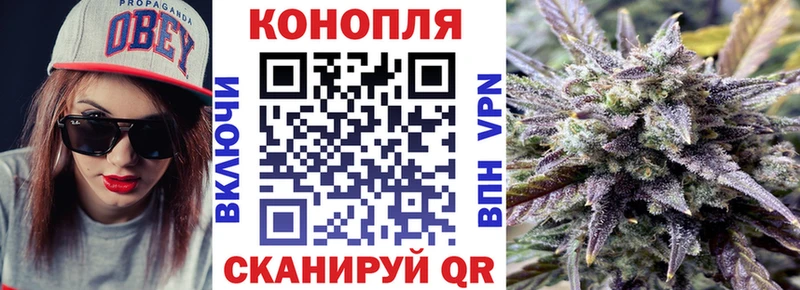 наркотики  Ленинск  Шишки марихуана Ganja 